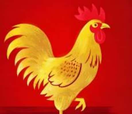 属鸡人2025年每月运势概览