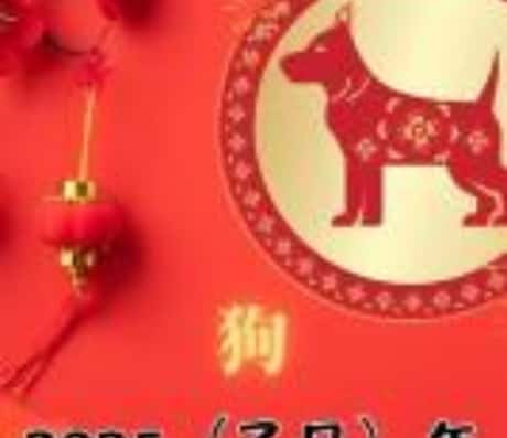 属狗人明日运势及财运展望，适合打麻将吗？