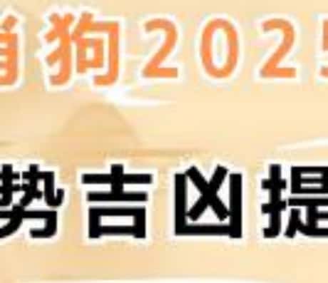 2006年属狗的今年运势怎么样