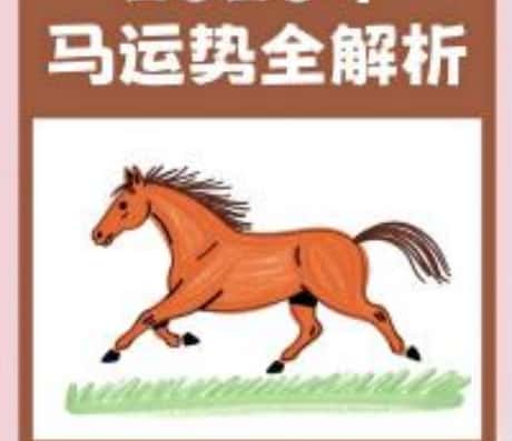 属鼠和属马的合不合财？视频讲解为您揭秘