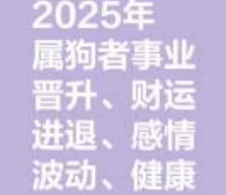 94年属狗男在2025年的运势展望