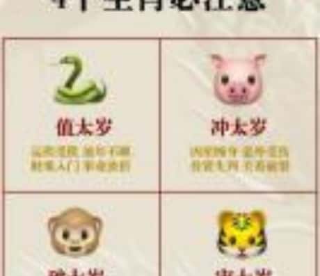 属猪人的未来展望