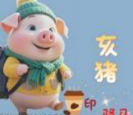 属猪的今年命运和身体展望