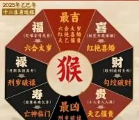 1992年属猴的一生运势如何