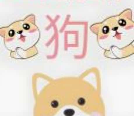 属狗明日运势财运及打麻将运势预测