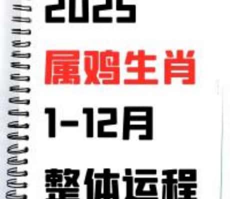 2025年属鸡人的运势概览