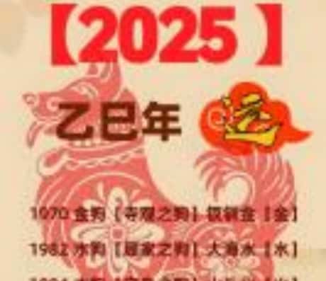 属狗的贵人属相搭配：揭秘最佳贵人属相组合