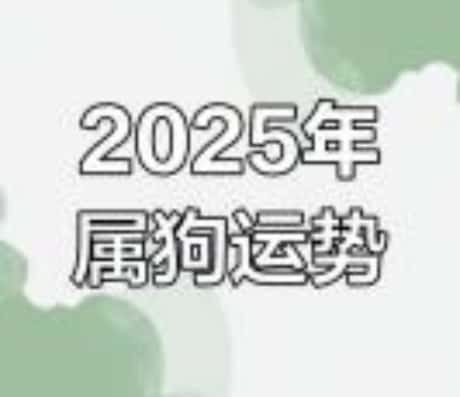 属狗运势2025年运势详解视频