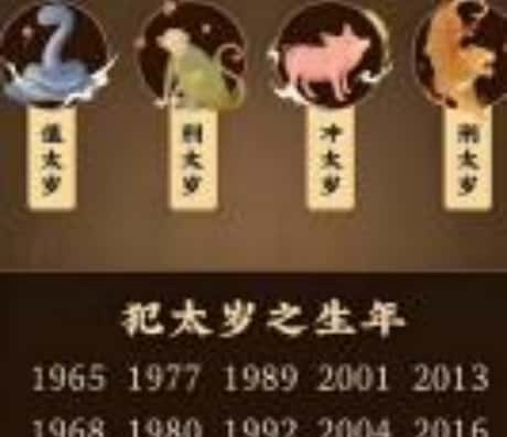 属猪人每个月的运势概览