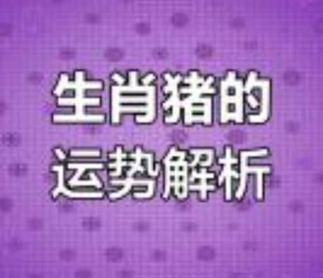 属猪人四月运势如何