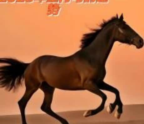 属马24岁本命年运势如何