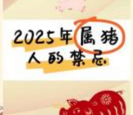 属猪2025年全年运势展望