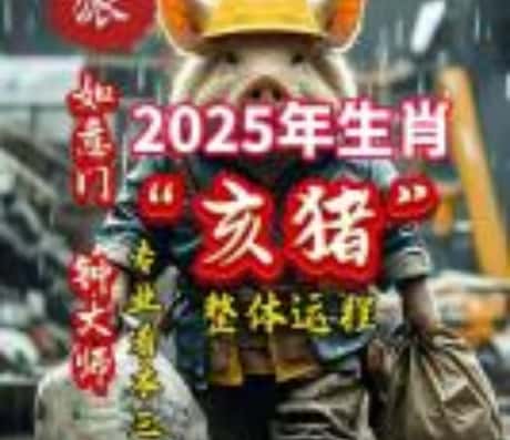 关于生肖猪的2025年大忌颜色解析