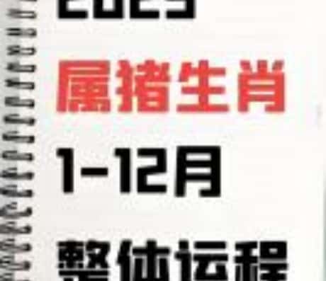 属猪的2025年四月运势预测