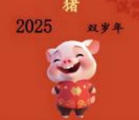2025年95年属猪的运势概览