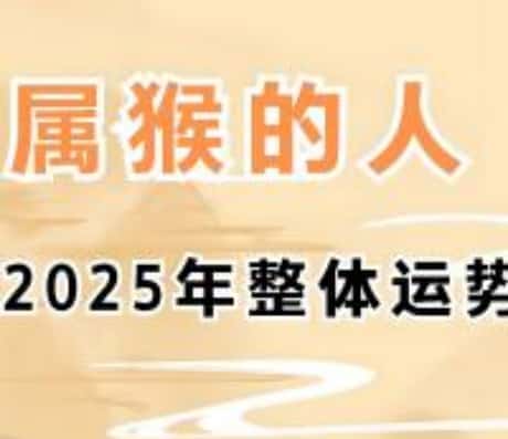 属猴的你在未来一年的运势预测——洞悉你未来的每一月