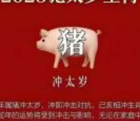 95年属猪运势及运程详解视频