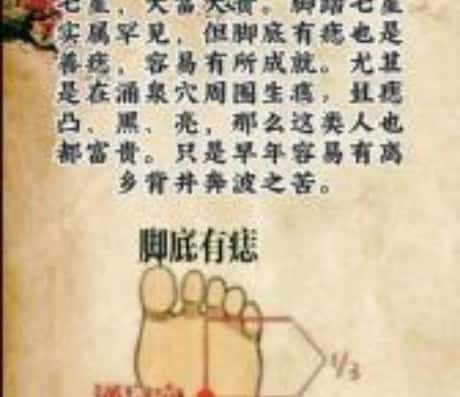 b型血女人的性格特点 B型血女生性格解析