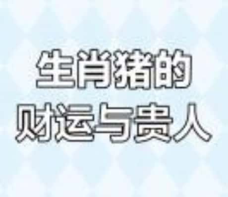 今年属猪的运气如何2025