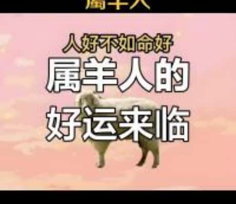 蛇年属羊运势和财运详解
