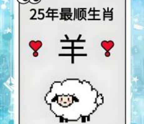 1991年属羊人未来5年的运势展望