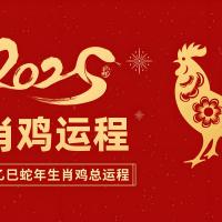 属鸡的1993年运势大解析