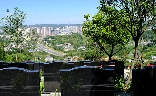 搭建社区平台，优化上海风水墓园