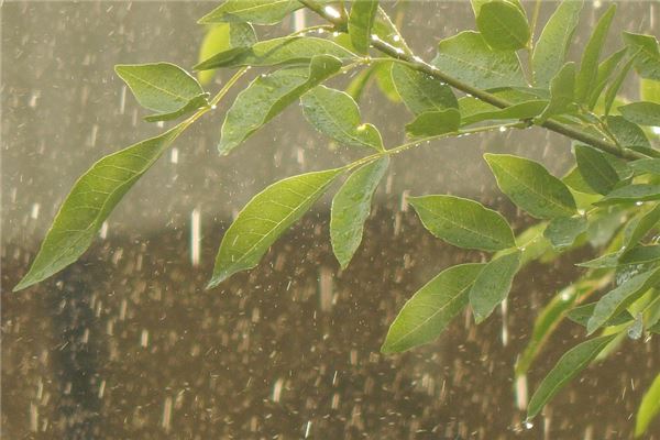 女人梦见下雨