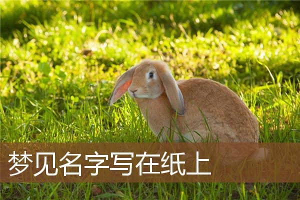 梦见名字写在纸上