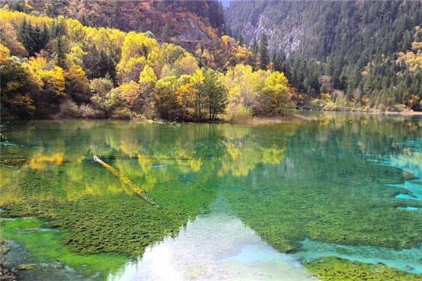 梦见平静的湖水