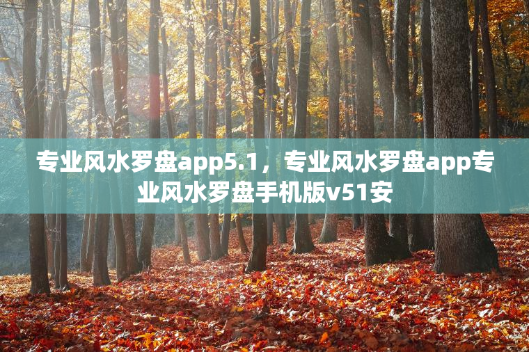 设置自动风水罗盘app5.1