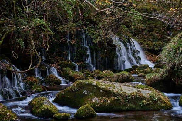 梦见泉水清澈涌出